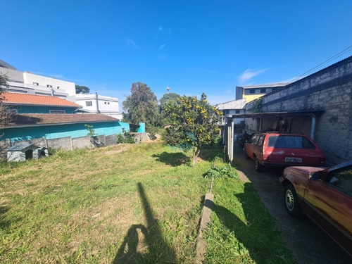Imagem 22 de 30 de Terreno No Bairro Do Tingui, Próximo Ao Aeroporto E Ao Parque Do Bacacheri - Te00158 - 71037482