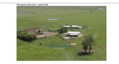 Sensacional Estancia En Tacuarembo 3468htas Cerca De Upm