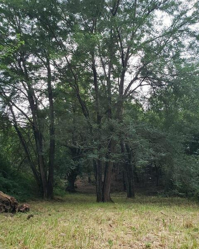 Imagen 1 de 7 de Lote En Venta En Valle Del Sol, Mendiolaza