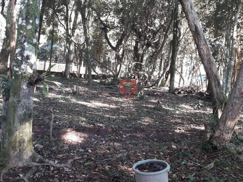Imagem 9 de 15 de Chácara Com 2 Dormitórios À Venda, 3290 M² Por R$ 383.000 - Loteamento Rural Palermo - Gravataí/rs - Ch0023