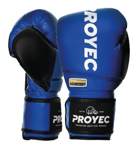 Guante De Boxeo Proyec Premiun Edicion Black 