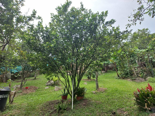 Imagen 6 de 22 de Casa