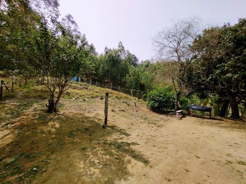 Imagem 3 de 19 de Terreno Escriturado À Venda Em Piracaia/sp - 1000 - 34968879