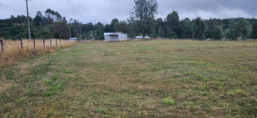 Venta Parcela 5000mts Paillaco