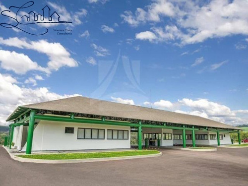 Imagem 11 de 14 de Terreno - Te01518 - 69199645