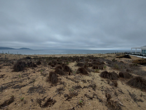 Terreno En Venta En Primera LĂnea De Playa