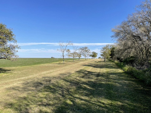 Hermosa Chacra(6,7 Has) Con Vista Al Rio De La Plata