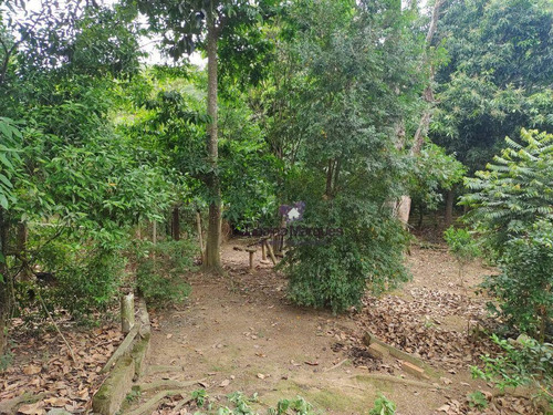 Imagem 18 de 24 de Chácara Com 4 Dormitórios À Venda, 2000 M² Por R$ 420.000,00 - Santa Ella - Araçariguama/sp - Ch0165