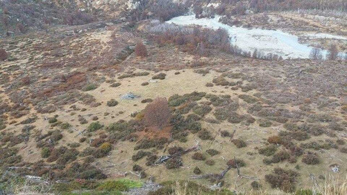 Imagen 8 de 13 de Maravillos Predio, 254,54 Ha. Valle Leones