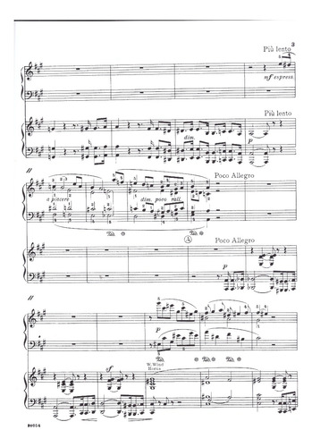 C. Franck: Variations Symphoniques For The Piano (two Pianos