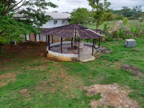 Imagen 7 de 9 de Mini Finca En Villa Los Aguacates