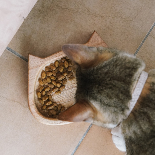 Imagen 4 de 7 de Plato Comedero Para Gatos Diseño Plano - Madera -12x15x2,5