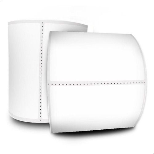 10 Rolos Etiquetas Térmica 10x15 (100x150) Zebra Elgin Argox Cor Branco