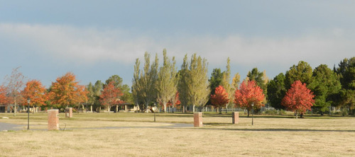 Lote En Venta En Mirabosques, Los Cardales.