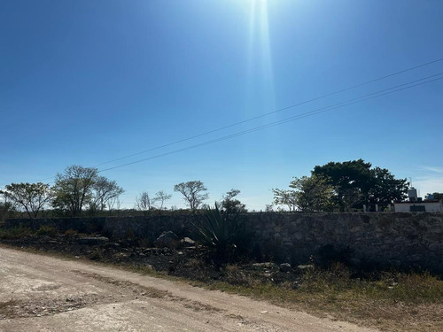 Rancho En Venta Merida, Ixil Para Entrega Inmediata.