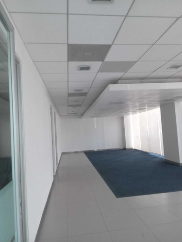 Excelente Local Comercial 525m2 En San Pedro De Los Pinos