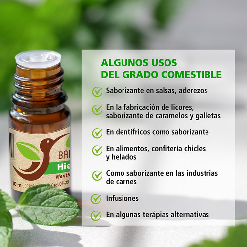 Aceite Esencial Albahaca 10 Ml, Grado Alimenticio