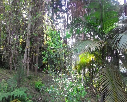 Chácara - 0271 - 32820370
