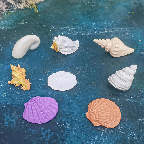 Mini Shell Moddle Conchas Marinas Para Niños Conchas Marinas