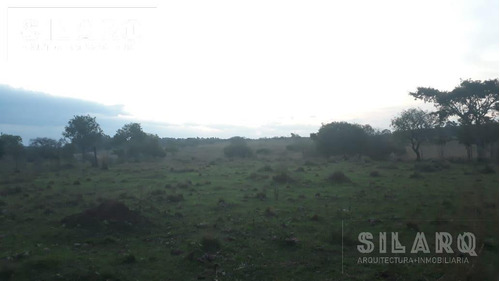 Imagen 30 de 30 de Chacra - Posadas
