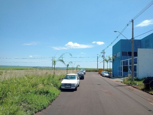 Imagem 7 de 10 de Terreno - Te00241 - 69321133