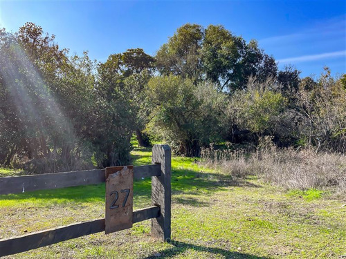 Sitio En Venta En Zapallar