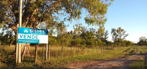 Imagen 3 de 14 de Terrenos Y Lotes En Venta En Gualeguay - Elegí El Tuyo