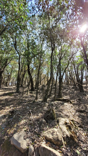 Venta De Terreno Campo En Las Sierras De Cordoba Unquillo Argentina
