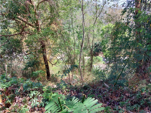 Los Naranjos | El Hatillo | Terreno Comercial En Venta | Mb-24-005