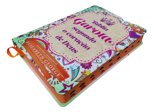 Biblia Da Garota Segundo O Coração De Deus Nova Viva Capa Dura Juventude Com Letra Grande E Indice Lateral