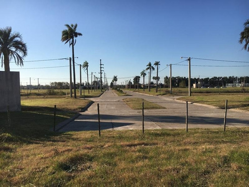 Vendo Lote De 629 M2 En Roldan. Entrega Inmediata. Barrio El Molino.