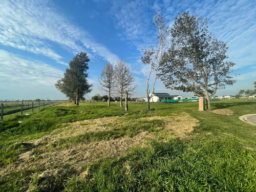 Venta De Lote Barrio San Simon 2 Canning