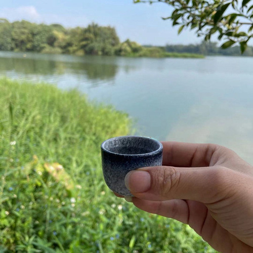 1 Juego De Exquisitas Tazas De Sake De Cerámica De Estilo Ja