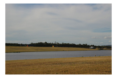 Imagen 9 de 22 de Terreno En Venta En Laguna De Los Cisnes