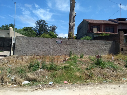 Imagen 1 de 7 de Terreno