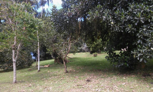 Imagem 12 de 30 de Chácara Com 4 Dormitórios À Venda, 190575 M² Por R$ 900.000,00 - Marta - Morretes/pr - Ch0137