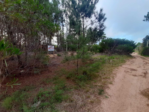 Imagen 2 de 13 de Terreno En Punta Del Diablo Rocha Zona La Viuda