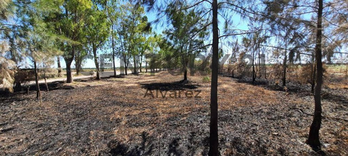 Imagen 5 de 25 de Venta De Lote De Terreno De Chacra Ideal Inversores