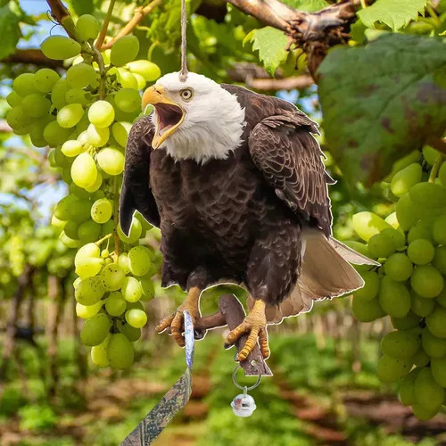 Repelente De Pájaros Águila Espantapájaros,repeler Pájaros