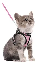 Comprar Juego De Arneses Y Correas Para Gatos Rabbitgoo Para Caminar
