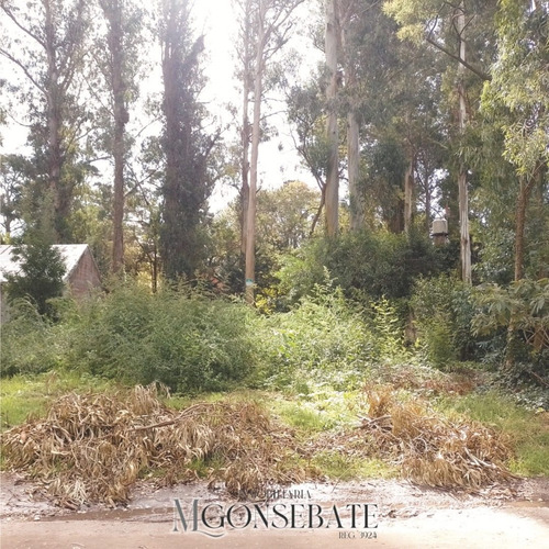 Imagen 4 de 5 de Terreno En Venta Mar Del Plata Barrio Bosque Peralta Ramos.