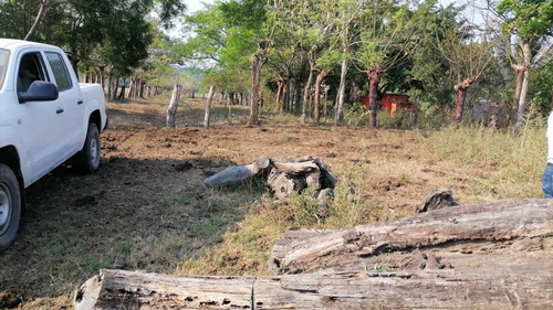 Terreno En Venta 304 Has