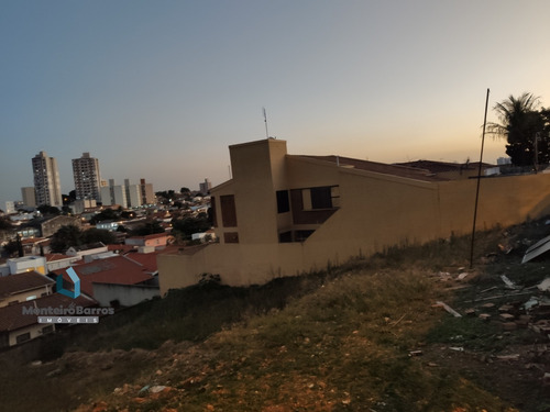 Terreno - Te00006 - 68206054