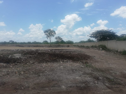 Imagen 17 de 19 de Privada De Lotes Residenciales Camelia