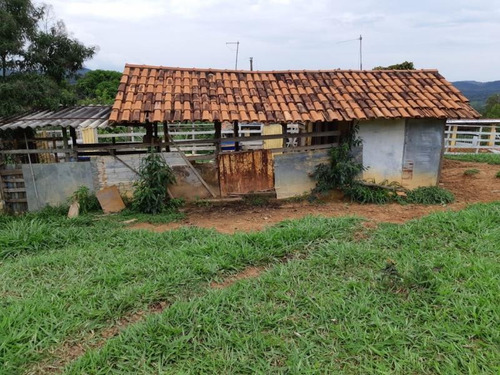 Fazenda Para Venda Em Nova União, Fazendinha, 4 Dormitórios, 1 Banheiro - F14_1-1023508
