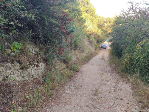 Imagen 3 de 5 de Rincón Del Este, Villa De Merlo, Excelente Lote De 2240 M2