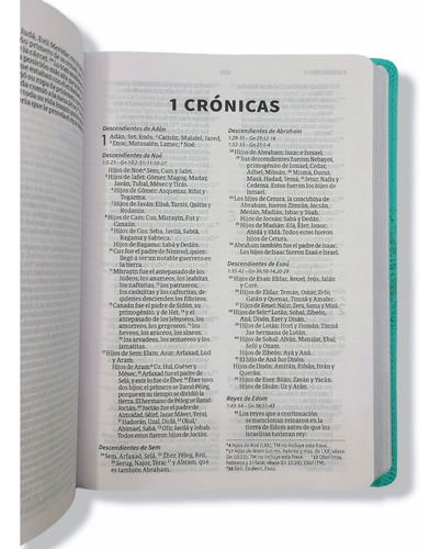 Imagen 6 de 9 de Biblia Nueva Version Internacional Nvi Imit. Azul Menta
