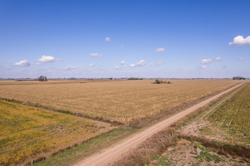 Imagen 9 de 10 de Campo Agricola En Venta 33 Ha Coronel Bogado