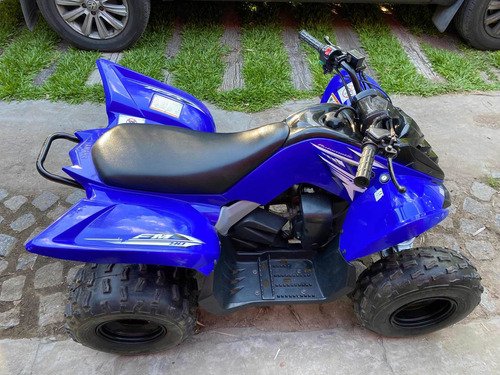 Imagen 3 de 15 de Yamaha Raptor 90