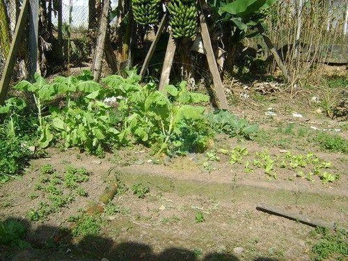 Chácara À Venda, 7500 M² Por R$ 800.000,00 - Maracanã - Jarinu/sp - Ch0487